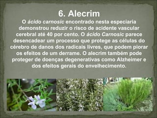 6. Alecrim
O ácido carnosic encontrado nesta especiaria
demonstrou reduzir o risco de acidente vascular
cerebral até 40 por cento. O ácido Carnosic parece
desencadear um processo que protege as células do
cérebro de danos dos radicais livres, que podem piorar
os efeitos de um derrame. O alecrim também pode
proteger de doenças degenerativas como Alzheimer e
dos efeitos gerais do envelhecimento.
 