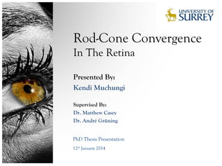 Rod-Cone Convergence
In The Retina
PhD Thesis Presentation
12th
January 2014
Presented By:
Kendi Muchungi
Supervised By:
Dr. Matthew Casey
Dr. André Grüning
 
