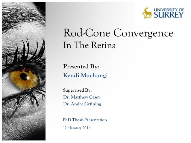 define convergence thesis define convergence thesis