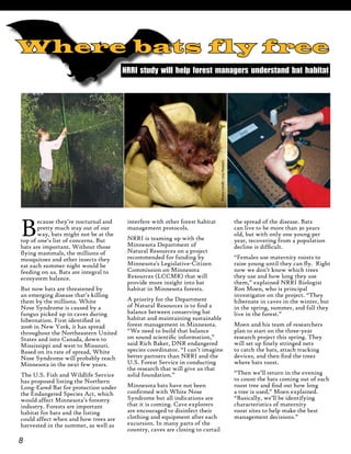 8
Because they’re nocturnal and
pretty much stay out of our
way, bats might not be at the
top of one’s list of concerns. But
bats are important. Without those
flying mammals, the millions of
mosquitoes and other insects they
eat each summer night would be
feeding on us. Bats are integral to
ecosystem balance.
But now bats are threatened by
an emerging disease that’s killing
them by the millions. White
Nose Syndrome is caused by a
fungus picked up in caves during
hibernation. First identified in
2006 in New York, it has spread
throughout the Northeastern United
States and into Canada, down to
Mississippi and west to Missouri.
Based on its rate of spread, White
Nose Syndrome will probably reach
Minnesota in the next few years.
The U.S. Fish and Wildlife Service
has proposed listing the Northern
Long-Eared Bat for protection under
the Endangered Species Act, which
would affect Minnesota’s forestry
industry. Forests are important
habitat for bats and the listing
could affect when and how trees are
harvested in the summer, as well as
interfere with other forest habitat
management protocols.
NRRI is teaming up with the
Minnesota Department of
Natural Resources on a project
recommended for funding by
Minnesota's Legislative-Citizen
Commission on Minnesota
Resources (LCCMR) that will
provide more insight into bat
habitat in Minnesota forests.
A priority for the Department
of Natural Resources is to find a
balance between conserving bat
habitat and maintaining sustainable
forest management in Minnesota.
“We need to build that balance
on sound scientific information,”
said Rich Baker, DNR endangered
species coordinator. “I can’t imagine
better partners than NRRI and the
U.S. Forest Service in conducting
the research that will give us that
solid foundation.”
Minnesota bats have not been
confirmed with White Nose
Syndrome but all indications are
that it is coming. Cave explorers
are encouraged to disinfect their
clothing and equipment after each
excursion. In many parts of the
country, caves are closing to curtail
NRRI study will help forest managers understand bat habitat
Where bats fly free
the spread of the disease. Bats
can live to be more than 30 years
old, but with only one young per
year, recovering from a population
decline is difficult.
“Females use maternity roosts to
raise young until they can fly. Right
now we don’t know which trees
they use and how long they use
them,” explained NRRI Biologist
Ron Moen, who is principal
investigator on the project. “They
hibernate in caves in the winter, but
in the spring, summer, and fall they
live in the forest.”
Moen and his team of researchers
plan to start on the three-year
research project this spring. They
will set up finely stringed nets
to catch the bats, attach tracking
devices, and then find the trees
where bats roost.
“Then we’ll return in the evening
to count the bats coming out of each
roost tree and find out how long
a tree is used,” Moen explained.
“Basically, we’ll be identifying
characteristics of maternity
roost sites to help make the best
management decisions.”
Photocredit:LisaPowers
 