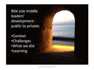 Bite size middle
leaders’
development -
public to private:
•Context
•Challenges
•What we did
•Learning
1Annette Hill, 13 May 2015
 