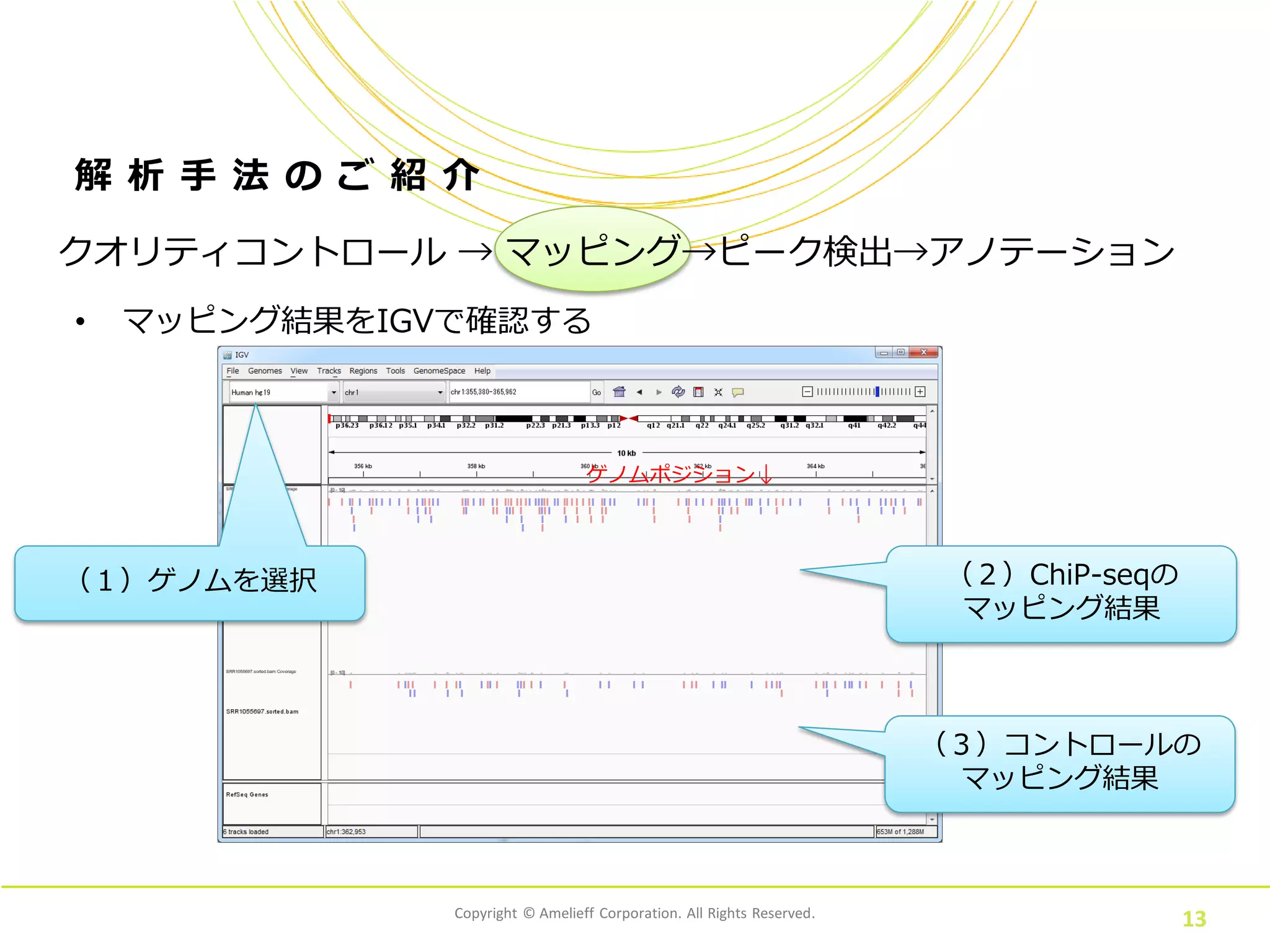 Copyright © Amelieff Corporation. All Rights Reserved.
13
解 析 手 法 の ご 紹 介
• マッピング結果をIGVで確認する
クオリティコントロール → マッピング→ピーク検出→アノテーション
（１）ゲノムを選択 （２）ChiP-seqの
マッピング結果
ゲノムポジション↓
（３）コントロールの
マッピング結果
 