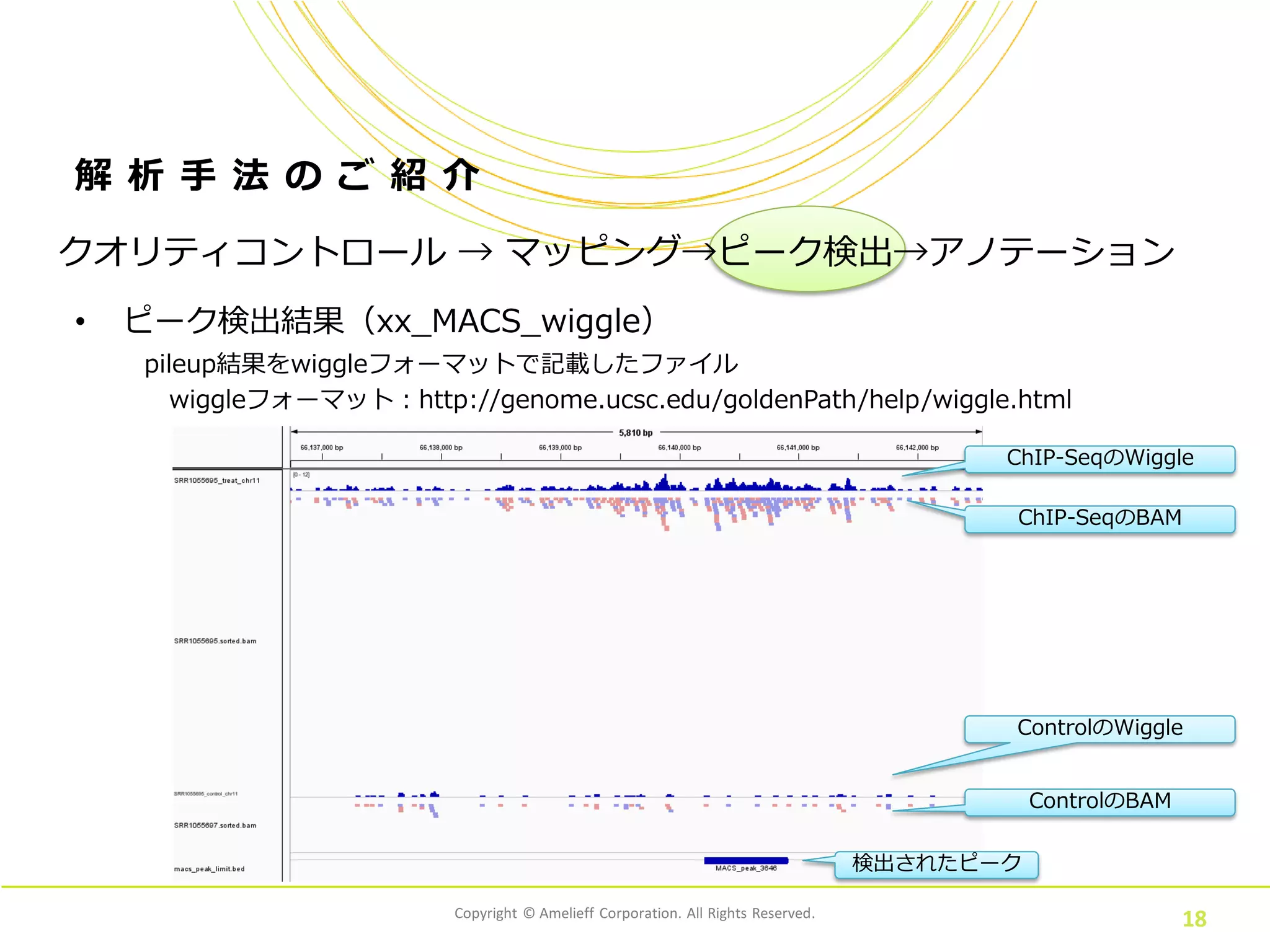 Copyright © Amelieff Corporation. All Rights Reserved.
18
解 析 手 法 の ご 紹 介
• ピーク検出結果（xx_MACS_wiggle）
クオリティコントロール → マッピング→ピーク検出→アノテーション
pileup結果をwiggleフォーマットで記載したファイル
wiggleフォーマット：http://genome.ucsc.edu/goldenPath/help/wiggle.html
ChIP-SeqのWiggle
検出されたピーク
ChIP-SeqのBAM
ControlのWiggle
ControlのBAM
 
