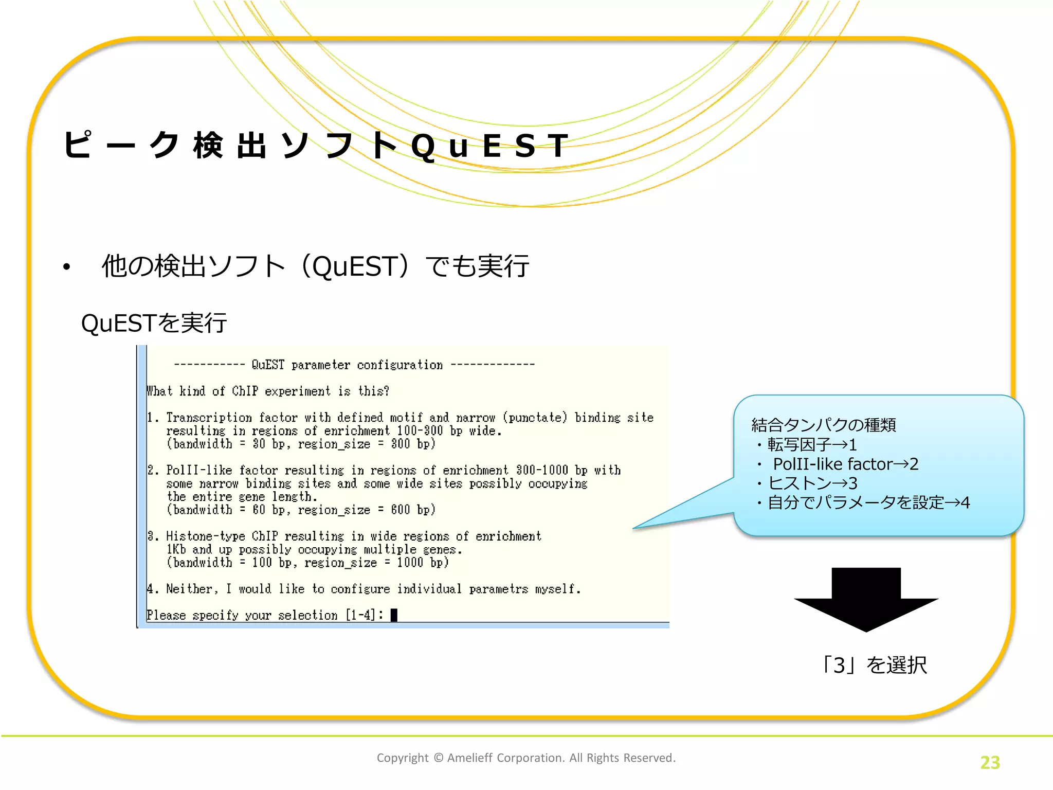 Copyright © Amelieff Corporation. All Rights Reserved.
23
ピ ー ク 検 出 ソ フ ト Q u E S T
• 他の検出ソフト（QuEST）でも実行
QuESTを実行
結合タンパクの種類
・転写因子→1
・ PolII-like factor→2
・ヒストン→3
・自分でパラメータを設定→4
「3」を選択
 
