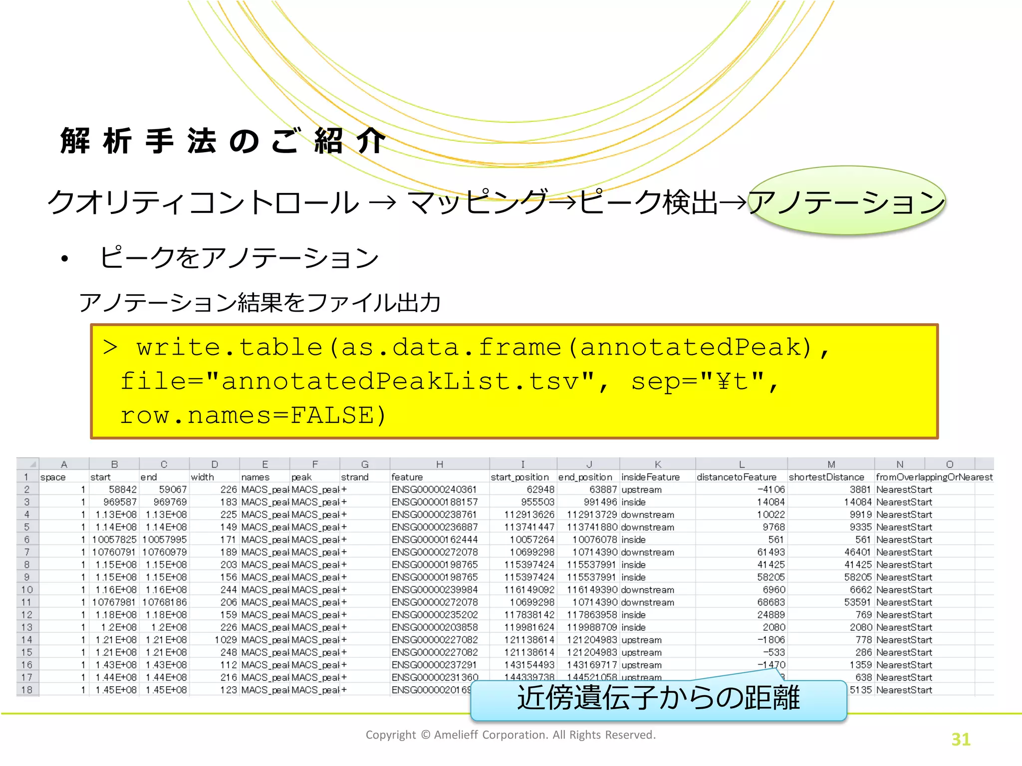 Copyright © Amelieff Corporation. All Rights Reserved.
31
解 析 手 法 の ご 紹 介
• ピークをアノテーション
クオリティコントロール → マッピング→ピーク検出→アノテーション
アノテーション結果をファイル出力
> write.table(as.data.frame(annotatedPeak),
file="annotatedPeakList.tsv", sep="¥t",
row.names=FALSE)
近傍遺伝子からの距離
 