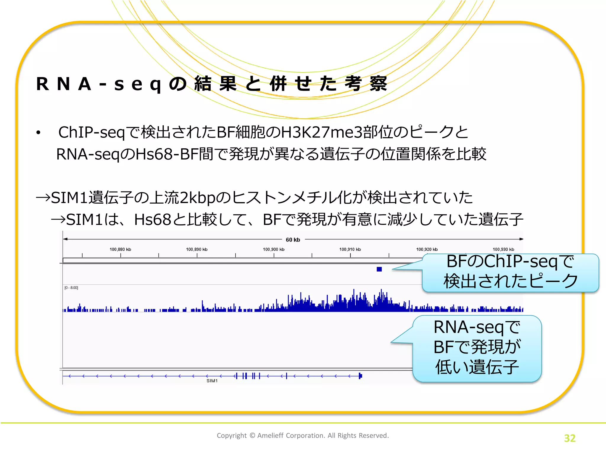 Copyright © Amelieff Corporation. All Rights Reserved.
32
R N A - s e q の 結 果 と 併 せ た 考 察
• ChIP-seqで検出されたBF細胞のH3K27me3部位のピークと
RNA-seqのHs68-BF間で発現が異なる遺伝子の位置関係を比較
→SIM1遺伝子の上流2kbpのヒストンメチル化が検出されていた
→SIM1は、Hs68と比較して、BFで発現が有意に減少していた遺伝子
BFのChIP-seqで
検出されたピーク
RNA-seqで
BFで発現が
低い遺伝子
 