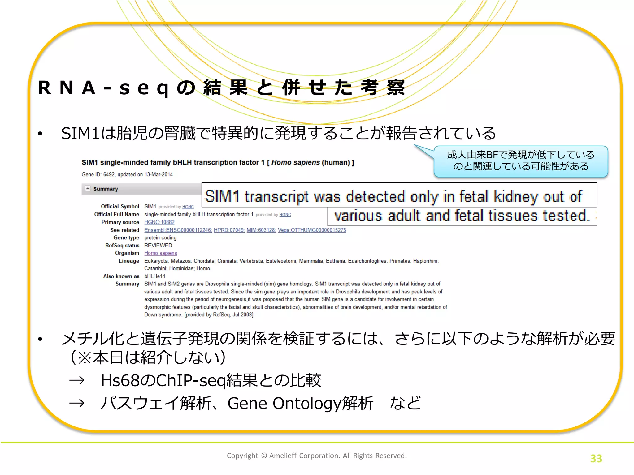 Copyright © Amelieff Corporation. All Rights Reserved.
33
R N A - s e q の 結 果 と 併 せ た 考 察
• SIM1は胎児の腎臓で特異的に発現することが報告されている
• メチル化と遺伝子発現の関係を検証するには、さらに以下のような解析が必要
（※本日は紹介しない）
→ Hs68のChIP-seq結果との比較
→ パスウェイ解析、Gene Ontology解析 など
成人由来BFで発現が低下している
のと関連している可能性がある
 