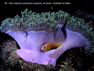 34.- Peu importe comment s’asseoir, se lever, s’habiller et aider.
 