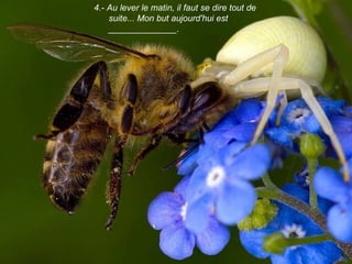  4.- Au lever le matin, il faut se dire tout de
suite... Mon but aujourd'hui est
______________.
 