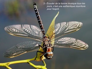 3.- Écouter de la bonne musique tous les
jours, c’est une authentique nourriture
pour l'esprit.
 