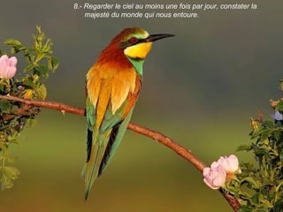 8.- Regarder le ciel au moins une fois par jour, constater la
majesté du monde qui nous entoure.
 