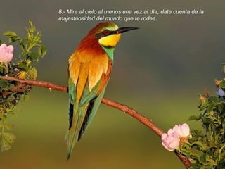 8.- Mira al cielo al menos una vez al día, date cuenta de la majestuosidad del mundo que te rodea.  