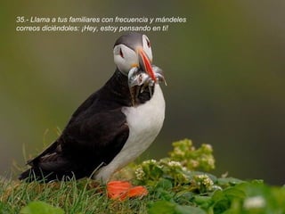 35.- Llama a tus familiares con frecuencia y mándeles correos diciéndoles: ¡Hey, estoy pensando en ti! 