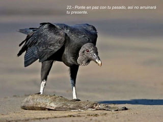 22.- Ponte en paz con tu pasado, así no arruinará tu presente. 