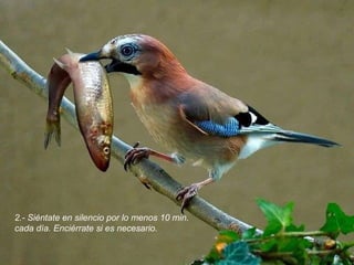 2.- Siéntate en silencio por lo menos 10 min. cada día. Enciérrate si es necesario.   