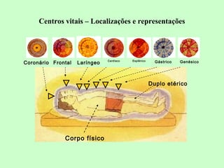Centros vitais – Localizações e representações 
Coronário Frontal Laríngeo Cardíaco Esplênico Gástrico Genésico 
Corpo físico 
Duplo etérico 
 