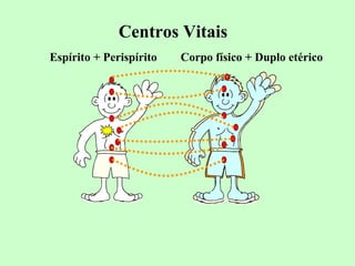 Centros Vitais 
Espírito + Perispírito Corpo físico + Duplo etérico 
 