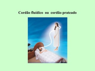 Cordão fluídico ou cordão prateado 
 