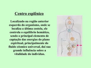 Centro esplênico 
Localizado na região anterior 
esquerda do organismo, onde se 
localiza a última costela, ele 
controla o equilíbrio hemático, 
sendo o principal elemento de 
captação das energias do plano 
espiritual, principalmente do 
fluido cósmico universal, daí sua 
grande influência sobre a 
vitalidade do indivíduo. 
 