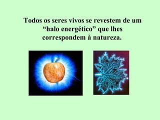 Todos os seres vivos se revestem de um 
“halo energético” que lhes 
correspondem à natureza. 
 
