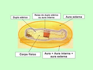 Duplo etérico 
Raias do duplo etérico 
ou aura interna 
Aura externa 
Aura = Aura interna + 
aura externa 
Corpo físico 
 