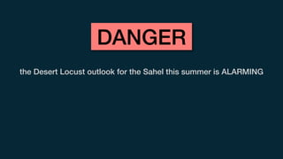 the Desert Locust outlook for the Sahel this summer is ALARMING
DANGER
 
