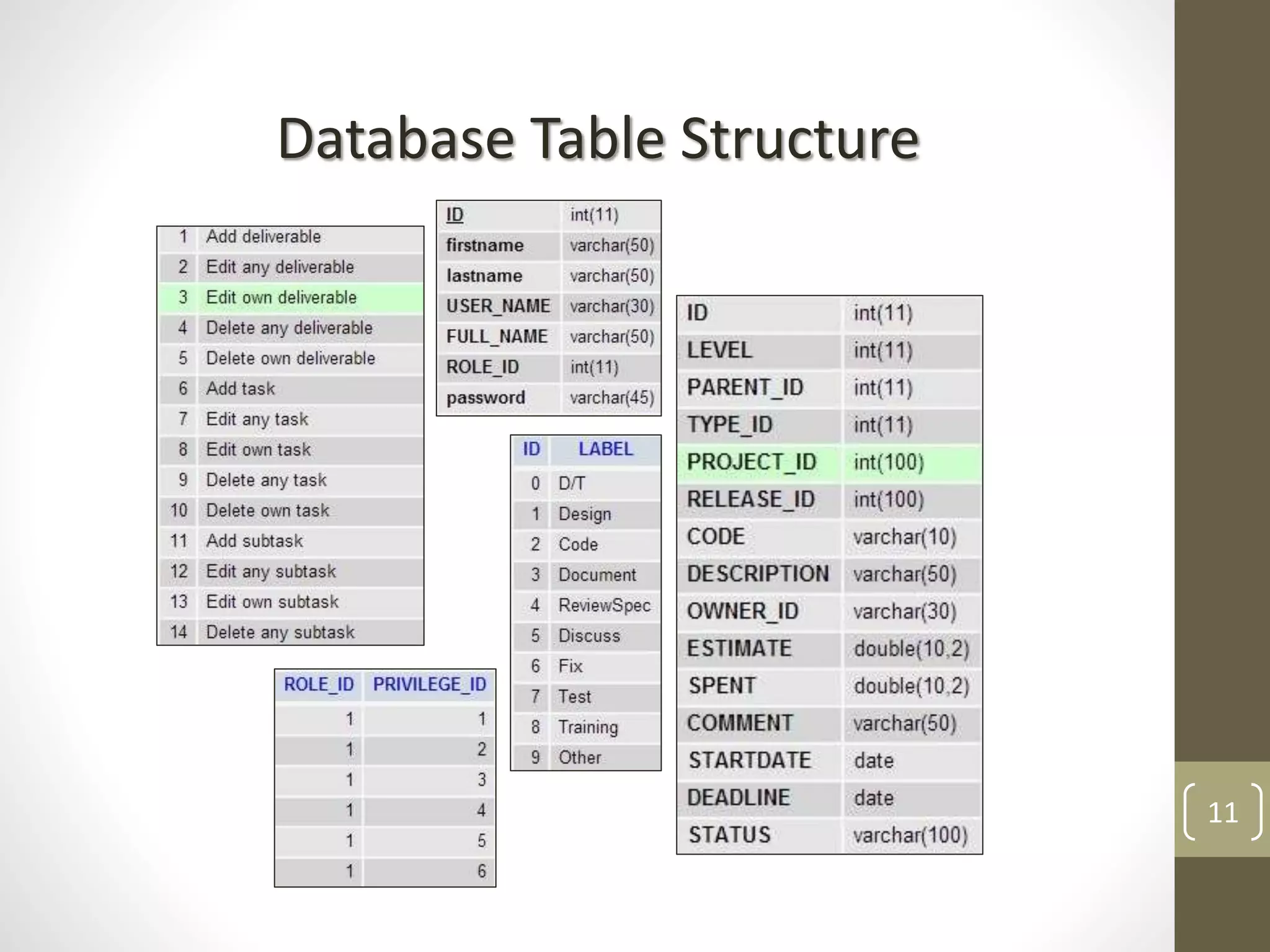 11
Database Table Structure
 