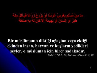 مَا مِنْ مُسْلِمٍ يَغْرِسُ غَرْسًا أوْ يَزْرَعُ زَرْعًا فَيَـأكُلُ مِنْهُ طَيْرٌ أوْ إِنْسَانٌ أوْ بَهِيمَةٌ إِلاَّ كَانَ لَهُ بِهِ صَدَقَةٌ Bir müslümanın diktiği ağaçtan veya ektiği ekinden insan, hayvan ve kuşların yedikleri şeyler, o müslüman için birer sadakadır. Buhârî, Edeb, 27; Müslim, Müsâkât, 7, 10. 