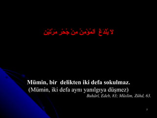 لاَ يُلْدَغُ  اْلمُؤْمِنُ مِنْ جُحْرٍ مَرَّتَيْنِ Mümin, bir  delikten iki defa sokulmaz. (Mümin, iki defa aynı yanılgıya düşmez) Buhârî, Edeb, 83; Müslim, Zühd, 63. 