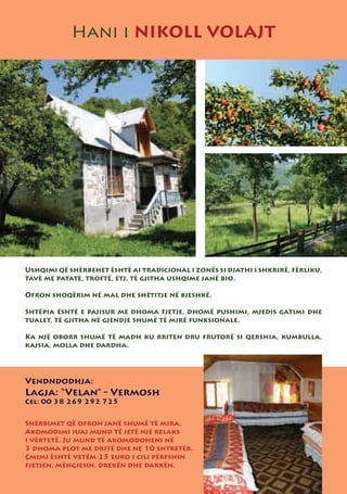 Hani i NIKOLL VOLAJT




Ushqimi që shërbehet është ai tradicional i zonës si djathi i shkrirë, fërliku,
tavë me patate, troftë, etj. të gjitha ushqime janë bio.

Ofron shoqërim në mal dhe shëtitje në bjeshkë.

Shtëpia është e pajisur me dhoma fjetje, dhomë pushimi, mjedis gatimi dhe
tualet, të gjitha në gjendje shumë të mirë funksionale.

Ka një oborr shumë të madh ku rriten dru frutorë si qershia, kumbulla,
kajsia, molla dhe dardha.




Vendndodhja:
Lagja: “Velan” - Vermosh
Cel: 00 38 269 292 725


Shërbimet që ofron janë shumë të mira,
Akomodimi juaj mund të jetë një relaks
i vërtetë. Ju mund të akomodoheni në
3 dhoma plot me dritë dhe në 10 shtretër.
Çmimi është vetëm 25 euro i cili përfshin
fjetjen, mëngjesin, drekën dhe darkën.
 
