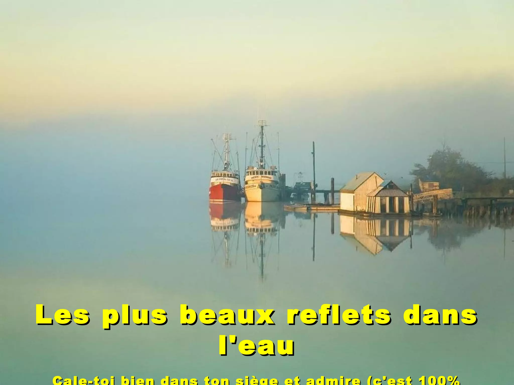 Les plus beaux reflets dansLes plus beaux reflets dans
l'eaul'eau
