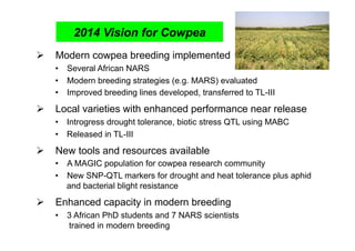 2014 Vision for Cowpea
  Modern cowpea breeding implemented
   •  Several African NARS
   •  Modern breeding strategies (e.g. MARS) evaluated
   •  Improved breeding lines developed, transferred to TL-III

  Local varieties with enhanced performance near release
   •  Introgress drought tolerance, biotic stress QTL using MABC
   •  Released in TL-III

  New tools and resources available
   •  A MAGIC population for cowpea research community
   •  New SNP-QTL markers for drought and heat tolerance plus aphid
      and bacterial blight resistance

  Enhanced capacity in modern breeding
   •  3 African PhD students and 7 NARS scientists
      trained in modern breeding
 
