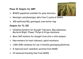 Phase II Outputs for MBP:

  MAGIC population available for gene discovery

  Genotypic and phenotypic data from 2 cycles of MARS

  300 additional RIL genotyped, even better map

Outputs for TL-III

  Validated markers for Drought Tolerance, Macrophomena,
   Bacterial Blight, Flower Thrips & Striga resistance

  More SNP markers for drought from elite x elite analysis

  New markers for heat tolerance, aphid resistance

  1,000 SNPs validated for use in flexible genotyping platforms

  8 ‘improved local’ candidate varieties from MABC

  24 advanced breeding lines from MARS
 