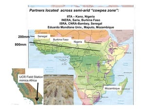 Partners located across semi-arid “cowpea zone”:
                                    IITA – Kano, Nigeria
                                 INERA, Saria, Burkina Faso
                               ISRA, CNRA-Bambey, Senegal
                        Eduardo Mondlane Univ., Maputo, Mozambique


 200mm        Senegal
                           Burkina Faso
                                          Nigeria
800mm




 UCR Field Station
 mimics Africa

                                                            Mozambique
 