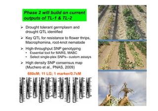 Phase 2 will build on current
  outputs of TL-1 & TL-2

  Drought tolerant germplasm and
   drought QTL identified
  Key QTL for resistance to flower thrips,
   Macrophomina, root-knot nematode
  High-throughput SNP genotyping
   •  Essential tool for MARS, MABC
   •  Select single-plex SNPs– custom assays
  High density SNP consensus map
   (Muchero et al., PNAS, 2009)
    680cM; 11 LG; 1 marker/0.7cM




                                               5 
 
