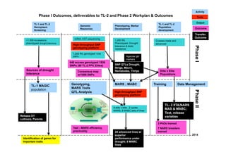 Activity
               Phase I Outcomes, deliverables to TL-2 and Phase 2 Workplan & Outcomes                                        Tools

                                                                                                                            Output
           TL-1 and TL-2                                                                        TL-1 and TL-2
                                            Genomic              Phenotyping, Marker
           Germplasm                                                                            Population
                                            Resources            Development                                              Outcome
           Screening                                                                            development
                                                                                                                          Transfer.
                                      cDNA, EST sequencing                                                                Outcome
    >1,500 Accessions                                            1,200 RIL                    Crosses made and
    phenotyped drought tolerance                                 Phenotyped- Drought          advanced
                                     High-throughput SNP
                                                                 tolerance & biotic




                                                                                                                          Phase I
                                     genotyping platform         resistance

                                     1,200 RIL genotyped 1536
                                     SNPs                                 Agarose gel
                                                                          markers
                                   640 access genotyped 1536
                                   SNPs (50 TL-2 FPV, Elites)    SNP QTLs Drought,
                                                                 Striga, Macro,
    Sources of drought                   Consensus map           Nematodes, Thrips               Elite x Elite
    tolerance                            w/1000 SNPs                                             Populations


                                    Genotyping,                  MARS ; MABC                 Training            Data Management
        TL-1 MAGIC
                                    MARS Tools
        population




                                                                                                                          Phase II
                                    QTL Analysis                High-throughput SNP
                                                                genotyping platform


                                                                                                     TL- 2 IITA/NARS
                                                                8 elite x elite , 2 cycles
                                                                                                     MAS & MABC;
                                                                MARS; 8 MABC sets of lines
                                                                                                     Test, release
Release DT                                                                                           varieties
cultivars, Parents
                                                                                               3 PhDs trained
                                     Test - MARS efficiency,                                   7 NARS breeders
                                     practicality                24 advanced lines w/          trained
                                                                 superior                                               2014
  Identification of genes for                                    performance under
  important traits                                               drought; 8 MABC
                                                                 lines                       then
 