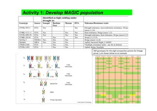 Activity 1: Develop MAGIC population




                               SNP genotypes for the eight prospec3ve parents for linkage 
                               group 1 are shown below as an example.
 