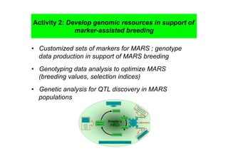 Activity 2: Develop genomic resources in support of
              marker-assisted breeding

•  Customized sets of markers for MARS ; genotype
   data production in support of MARS breeding
•  Genotyping data analysis to optimize MARS
   (breeding values, selection indices)
•  Genetic analysis for QTL discovery in MARS
   populations
 