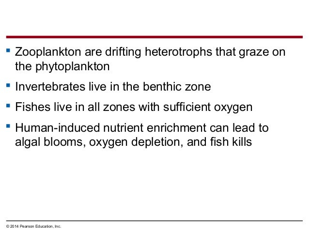 Campbell Biology 9Th Edition Chapter 7 Summary Of To Kill Campbell Biology 9Th Edition Chapter 7 Summary Of To Kill