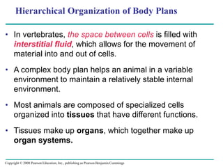 Interstitial Environment 40_lecture_presentation_0.ppt