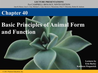 LECTURE PRESENTATIONS
For CAMPBELL BIOLOGY, NINTH EDITION
Jane B. Reece, Lisa A. Urry, Michael L. Cain, Steven A. Wasserman, Peter V. Minorsky, Robert B. Jackson
© 2011 Pearson Education, Inc.
Lectures by
Erin Barley
Kathleen Fitzpatrick
Basic Principles of Animal Form
and Function
Chapter 40
 
