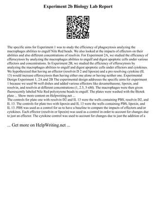 40+ Letter Of Introduction Templates & Examples | PDF
