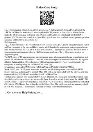 Hnluc Case Study
Fig. 1. Construction of infectious cDNA clones. (A) A full length infectious cDNA clone of the
PRRSV HuN4 strain was inserted into the pBeloBAC11 plasmid as described in Materials and
methods. (B) Two unique restriction sites (AsiS I and Swa I) were introduced into the HuN4
genome. (C) The secreted NanoLucв„ў (secNluc) genedriven by a synthetic transcription regulation
sequence 6 (TRS6) was cloned into the
HuN4 genome.
Fig. 2. Characteristics of the recombinant HuN4 secNluc virus. (A) Growth characteristics of HuN4
secNluc compared to the parental HuN4 strain. Viral titers in the supernatant were measured at the
time points indicated by TCID50 at 5 days post infection. The mean and standard deviation from 3
independent experiments are shown. (B) Time course analysis of the ... Show more content on
Helpwriting.net ...
The NAb titers of 20 serum samples were measured using a luminescence based neutralization test
and a CPE based neutralization test. The NAb titers were expressed as the reciprocal of the highest
dilution that resulted in 50% reduction of CPE or luciferase activity. Fig. 5. Modeling antiviral
compound screening using the HuN4 secNluc virus. (A)
Screening of antiviral siRNAs using HuN4 secNluc. siRNAs targeting the PRRSV
Nsp9, ORF5, and ORF7 genes were used as model antiviral compounds. A scrambled siRNA
(siScr) was used as the negative control. Marc 145 cells were transfected with the siRNAs at a final
concentration of 100nM and then infected with HuN4 secNluc.
The luciferase activity was measured at 48 h post infection. The mean and standard deviation from
three independent experiments are shown. (B) Dose dependent antiviral activity of the siORF7 216
siRNA. Marc 145 cells were transfected with siORF7 216 at the three final concentrations indicated
(50, 100, or 150nM) and then infected with HuN4 secNluc. The luciferase activity was determined
at 48 h post infection. The mean and standard deviation from three independent
... Get more on HelpWriting.net ...
 