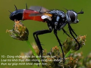 10.- Dùng những thức ăn lành mạnh hơn.
Loại trừ khỏi thực đơn những món nào không
thực sự giúp mình khoẻ mạnh hơn.
 