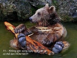 11.- Không gác sang ngày mai việc gì
có thể làm HÔM NAY!
 