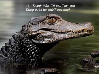 16.- Thanh thản, Trì chí, Tích cực
Đừng quên ba chữ T này nhé!
 