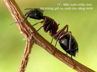 17.- Mỉm cười nhiều hơn.
Và không giữ nụ cười cho riêng mình
 