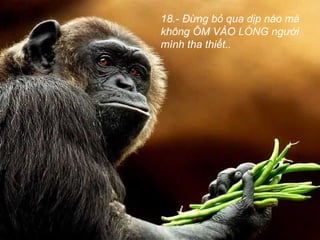 18.- Đừng bỏ qua dịp nào mà
không ÔM VÀO LÒNG người
mình tha thiết..
 