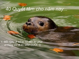 40 Quyết tâm cho năm nay...
1. Mỗi ngày đi bộ từ 10 đến 30 phút
– và trong khi đi thì MỈM CƯỜI. 
 