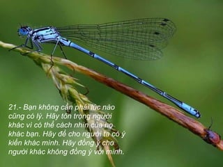 21.- Bạn không cần phải lúc nào
cũng có lý. Hãy tôn trọng người
khác vì có thể cách nhìn của họ
khác bạn. Hãy để cho người ta có ý
kiến khác mình. Hãy đồng ý cho
người khác không đồng ý với mình.
 